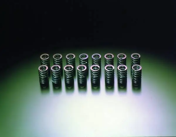 Get Yours Nissan 180SX HKS Valve Spring Set - 22001-AN002