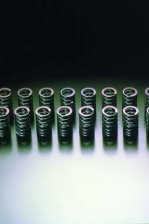 Toyota MR2 HKS Valve Spring Set - 2201-RT004 Affordable