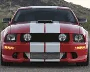 Ford Mustang Silver Dodge Challenger Lemans Stripes 12 Inch - 26052A Editor’s Pick