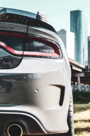 Hassle-Free Returns Standard Wicker Bill; Dark Tint