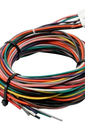 Top Rated AEM Wiring Harness for V2 Controller w/ Multi Input — PMD Premier Motoring Development