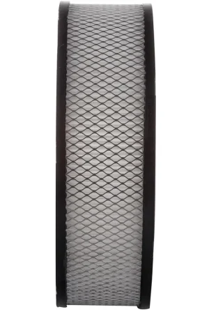 Authentic 1991 Avanti II Air FilterPA91