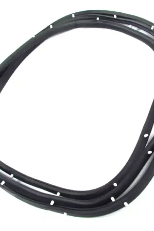 Door Seal for 1959-60 Chevrolet El Camino Front Door Precision DWB 1210 59 Limited Offer