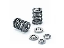 Supertech Toyota 1GR-FE 24V Dual Valve Spring Kit Worldwide Shipping