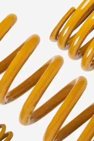 Tough Dog 2x Front Coil Lift Springs (Triton MR 17-22) 20mm Authentic