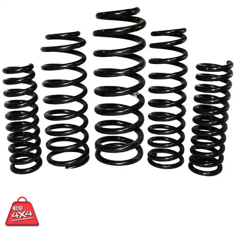 EFS Coil Springs Rear (Jackaroo 92-04) Premium
