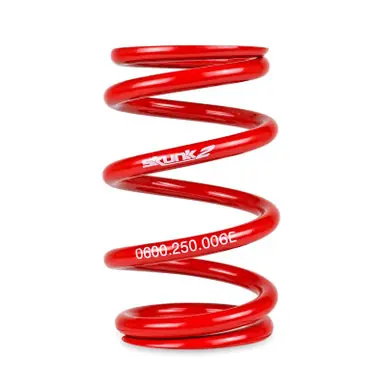 Sale Skunk2 Universal Race Spring (Elliptical) - 6 in.L - 2.5 in.ID - 6kg/mm (0600.250.006E) - 521-99-0985