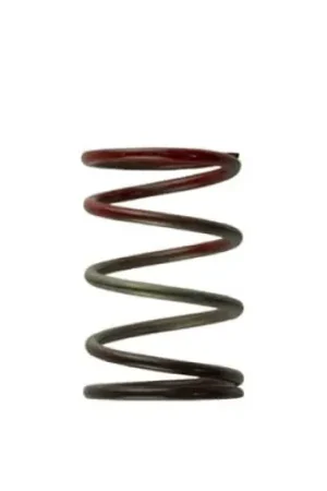 Next Day Delivery Turbosmart WG40 11PSI Middle Spring Brown/Red