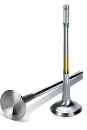 Exclusive Supertech VW/Audi 2.7T APB Sodium Filled Inconel Exhaust Valve - +1mm Oversize - Set of 12