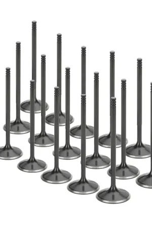 Supertech Audi/VW 1.8T 5V Black Nitrided Intake Valve - Set of 18 Don’t Miss Out