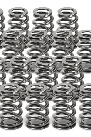 Supertech Audi 2.5T FSI Beehive Valve Springs - Set of 16 One Day Deal