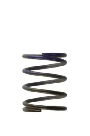 Save Now Turbosmart WG40 7PSI Middle Spring Brown/Purple