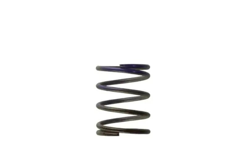 Save Now Turbosmart WG40 7PSI Middle Spring Brown/Purple