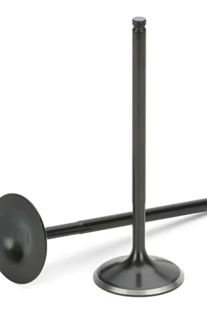 Supertech Audi/VW 2.5T FSI Black Nitrided Intake Valves 33.85mm(std) Head Dia. - Set of 10 Budget