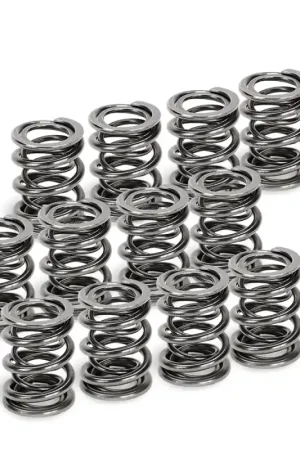 Supertech VW VR6 Dual Valve Spring - Set of 12 Worldwide Shipping
