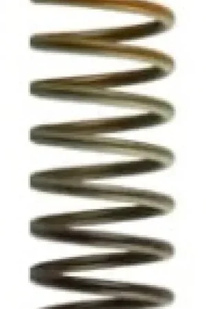 Luxury Turbosmart WG 38/40/45 HP 10 PSI Inner Spring Brown / Orange