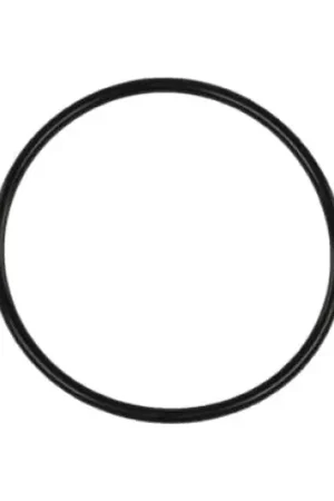 Save Now Turbosmart BOV Race Port flange O-Ring