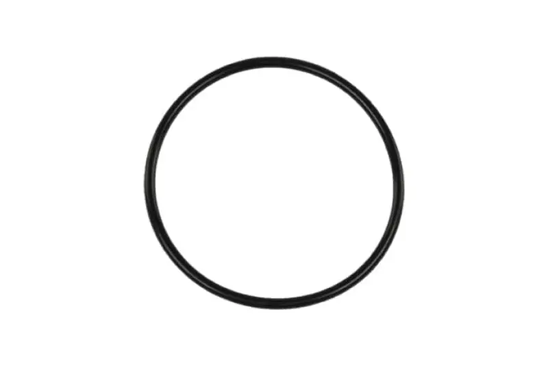 Save Now Turbosmart BOV Race Port flange O-Ring