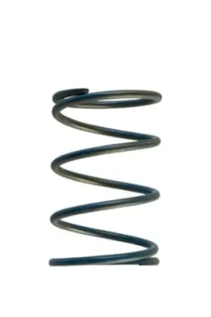 Budget Turbosmart Gen-V WG45/50 14psi Blue Outer Spring