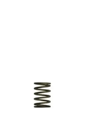 Turbosmart Gen-V WG38/40 3psi Black Inner Spring In Demand